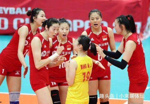中国女排最新爆料,揭秘备战奥运的幕后故事